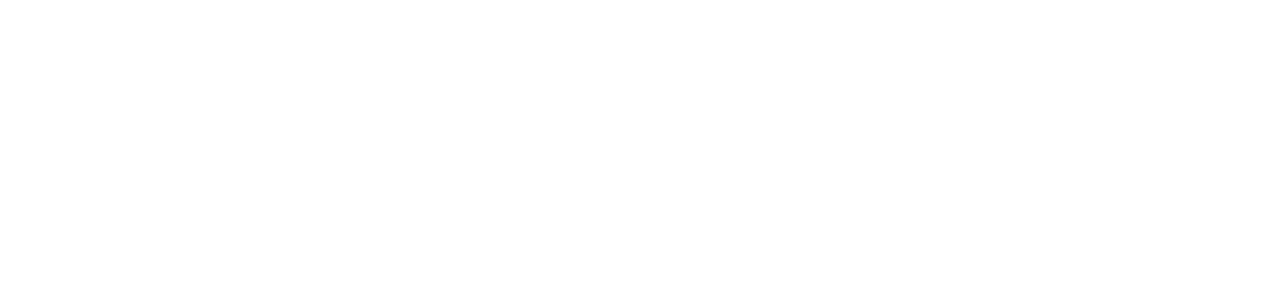 Natural Up Logo